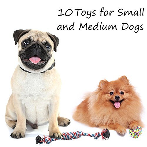 OKPOW Donut Dog Bed Small Washable - Anti Anxiety Calming Cosy Fluffy Plush Puppy Kitten Round Super Soft Snuggle Pet Cat Beds for Indoor Cats - Image 3