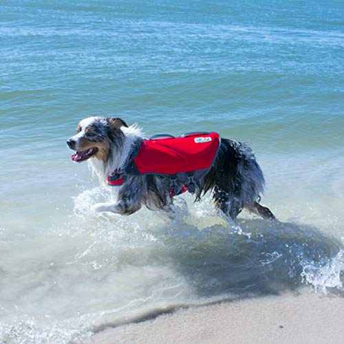 Outward Hound Dawson Swim Red Dog Life Jacket, Small - Image 8