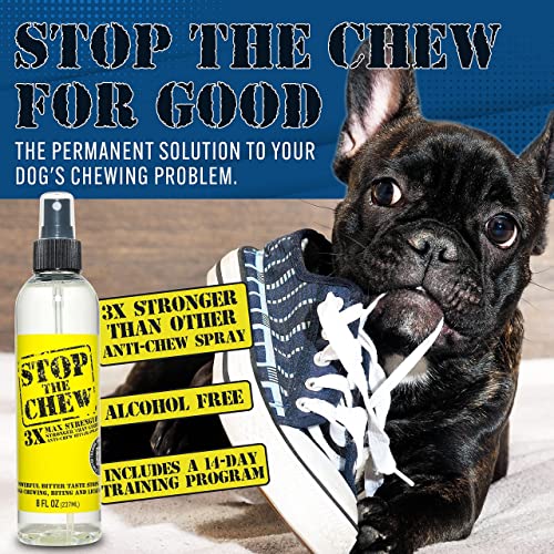 PRO Anti Chew Bitter Spray For Dogs & Puppies Emmy‘s Best - Alcohol Free, 8 Oz - Image 4