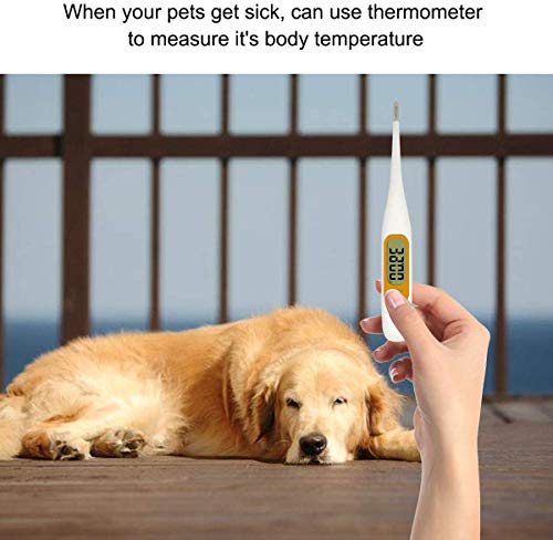 Pet First Aid Kit, Veterinary First Aid Bag for Dog, Cat, Rabbit, Animal, with Otoscope, Perfect for Home Care and Outdoor Travel Emergencies - Image 3