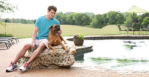 PetSafe SPT-275 Remote Spray Trainer, 275 Meter, No Shock, Training Spray and Tone Collar for Dogs - Image 7