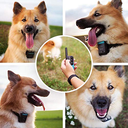 PetTec Remote Spray Trainer 2.0 - Image 7