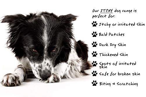 Petnat Dermacton Spray for ITCHY Dogs - Professionally recommended for itching & hair loss. Stops itching and scratching, soothes skin & promotes hair regrowth naturally - Image 5