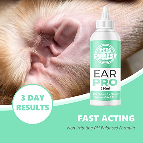 Pets Purest Dog Ear Cleaner - UK Vet Recommended Ear Drops for Dogs to Stop Head Shaking, Itchy Ears and Smelly Wax. 100% Natural Anti Viral Anti Fungal Cleaning Solution - 250ml - Image 4
