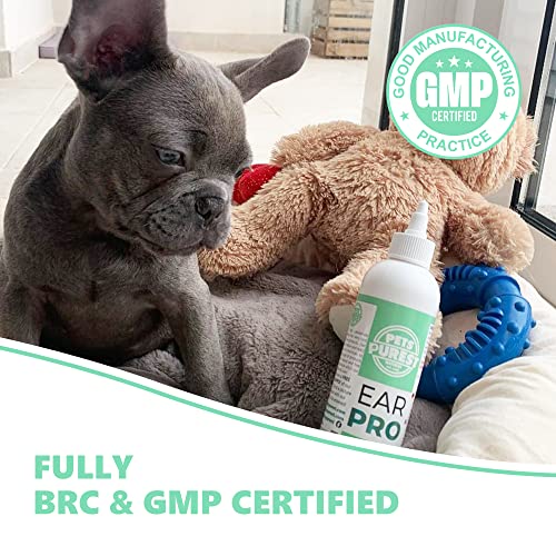 Pets Purest Dog Ear Cleaner - UK Vet Recommended Ear Drops for Dogs to Stop Head Shaking, Itchy Ears and Smelly Wax. 100% Natural Anti Viral Anti Fungal Cleaning Solution - 250ml - Image 5
