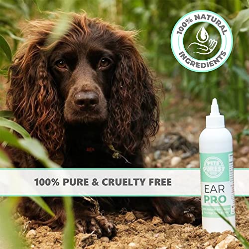 Pets Purest Dog Ear Cleaner - UK Vet Recommended Ear Drops for Dogs to Stop Head Shaking, Itchy Ears and Smelly Wax. 100% Natural Anti Viral Anti Fungal Cleaning Solution - 250ml - Image 7
