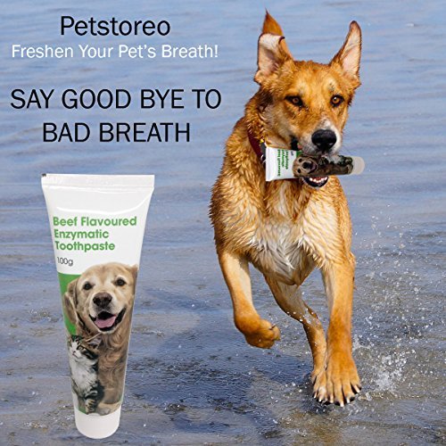 Petstoreo Complete Dental Care Kit for Dogs and Cats - Image 4