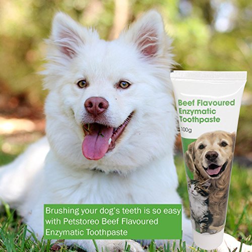 Petstoreo Complete Dental Care Kit for Dogs and Cats - Image 5
