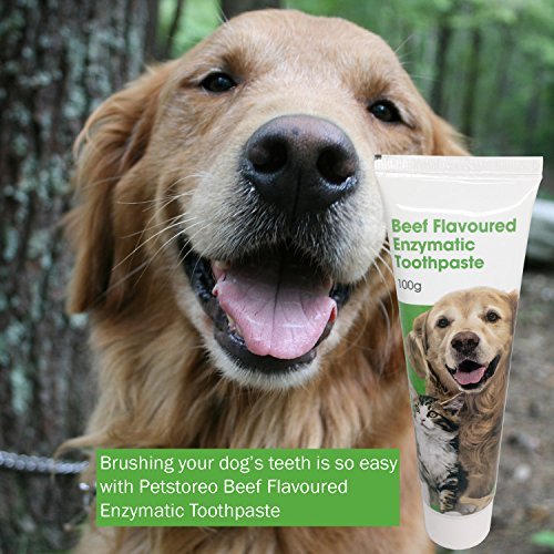 Petstoreo Complete Dental Care Kit for Dogs and Cats - Image 6