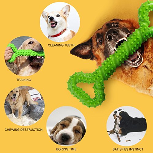 Petyoung Durable Dog Chew Toys 13 Inch Bone Shape for Aggressive Chewers, Interactive Toy for Small Medium and Large Dog with Strong Tug Convex Design Tooth Cleaning (green) - Image 5
