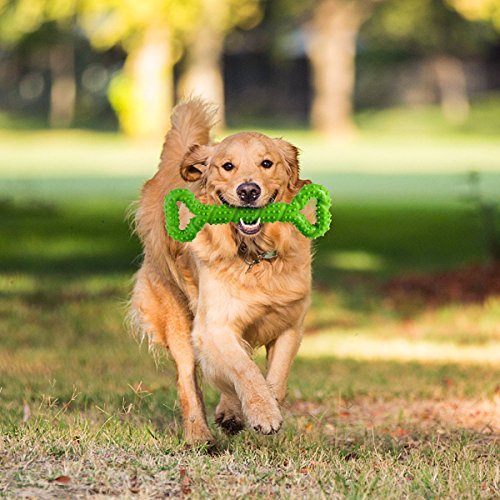 Petyoung Durable Dog Chew Toys 13 Inch Bone Shape for Aggressive Chewers, Interactive Toy for Small Medium and Large Dog with Strong Tug Convex Design Tooth Cleaning (green) - Image 6