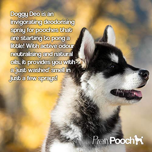 Pretty Pooch Dog Deodoriser Spray Perfume 250ml - Baby Powder - Freshening Dry Shampoo Spray for Dogs - Made in the UK - Image 4