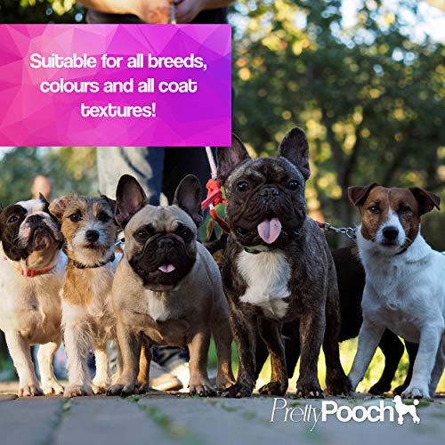 Pretty Pooch Dog Deodoriser Spray Perfume 250ml - Baby Powder - Freshening Dry Shampoo Spray for Dogs - Made in the UK - Image 7