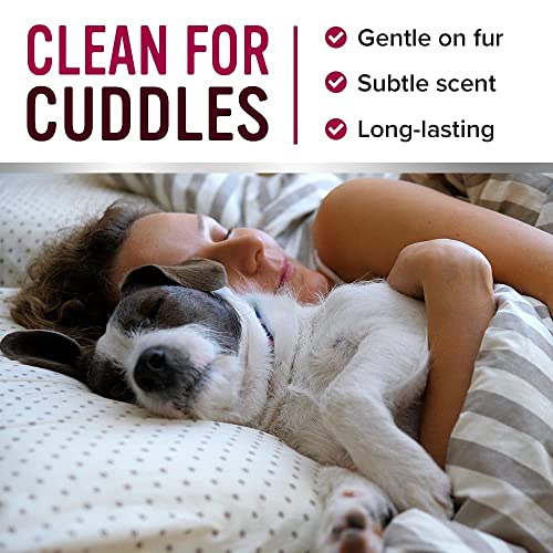 Pro Pooch Dog Perfume Spray - Dog Deodorant Spray & Cologne w/Fresh Baby Powder Scent - Hypoallergenic & Vegan Pet Smell Corrector - 250ml - Image 6