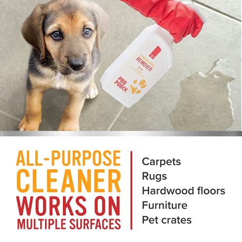 Pro Pooch Pet Carpet Cleaner Spray - 1 Litre of Cat and Dog Urine Neutraliser and Odour Remover - Image 5