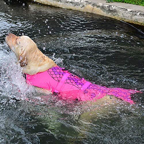 Queenmore Dog Life Jacket Ripstop Shark Dog Safety Vest Adjustable Preserver with High Buoyancy and Durable Rescue Handle for Small,Medium,Large Dogs, Pink Fish Medium - Image 8