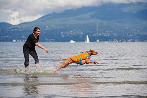 RC Pet Products Tidal Life Vest, Adjustable Dog Life Jacket, Orange/Teal, Large - Image 4