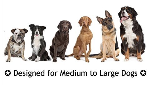 RIO Direct Dog Rope Toys, Durable Dog Rope Chew Toys Set for Aggressive Chewers, Interactive Cotton Rope - Avoid Boredom and Anxiety - Best Gift for Medium to Large Breeds (4Pack) - Image 6