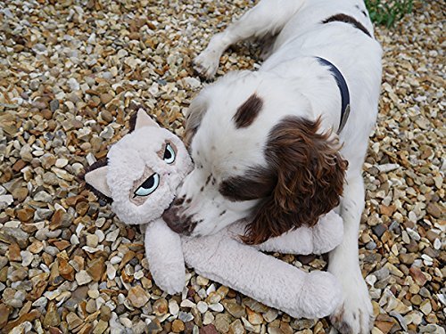 Rosewood Pet Products Grumpy Cat Floppy Plush Dog Toy, Clear - Image 4