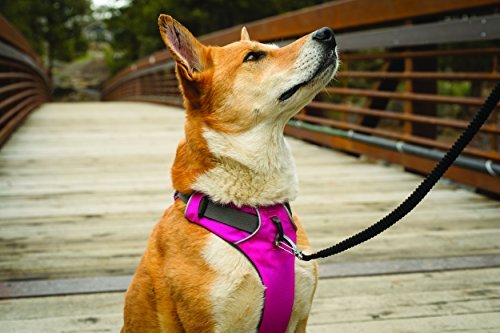 Ruffwear Front Range Harness - Image 8