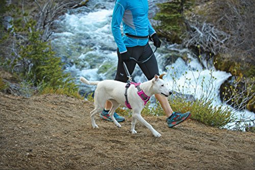 Ruffwear Front Range Harness - Image 9