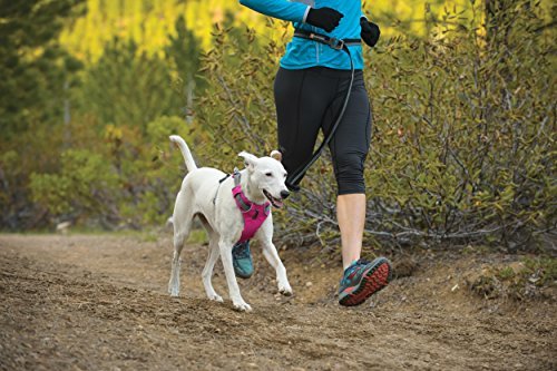 Ruffwear Front Range Harness - Image 10