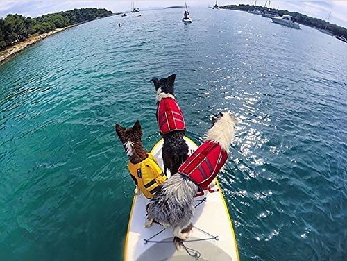 Ruffwear K9 Float Coat - Image 7