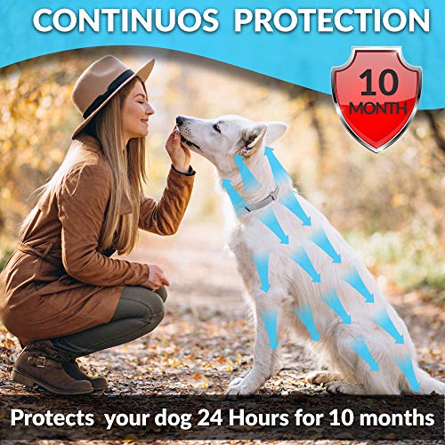 TANNESS Flea and Tick Collar for Small to Medium Cats and Dogs 15" Hypoallergenic and Waterproof Tick Prevention and Flea Control Dog Collar for 8 Months of Protection - Image 3