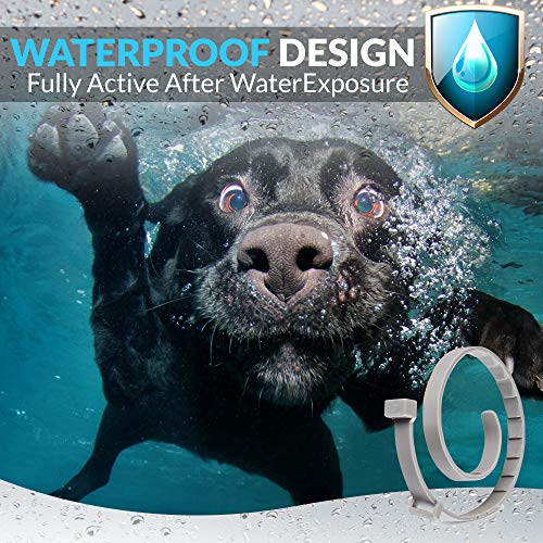 TANNESS Flea and Tick Collar for Small to Medium Cats and Dogs 15" Hypoallergenic and Waterproof Tick Prevention and Flea Control Dog Collar for 8 Months of Protection - Image 4