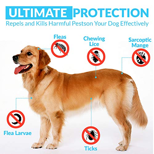 TANNESS Flea and Tick Collar for Small to Medium Cats and Dogs 15" Hypoallergenic and Waterproof Tick Prevention and Flea Control Dog Collar for 8 Months of Protection - Image 5