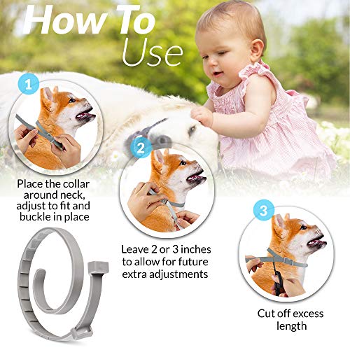 TANNESS Flea and Tick Collar for Small to Medium Cats and Dogs 15" Hypoallergenic and Waterproof Tick Prevention and Flea Control Dog Collar for 8 Months of Protection - Image 6