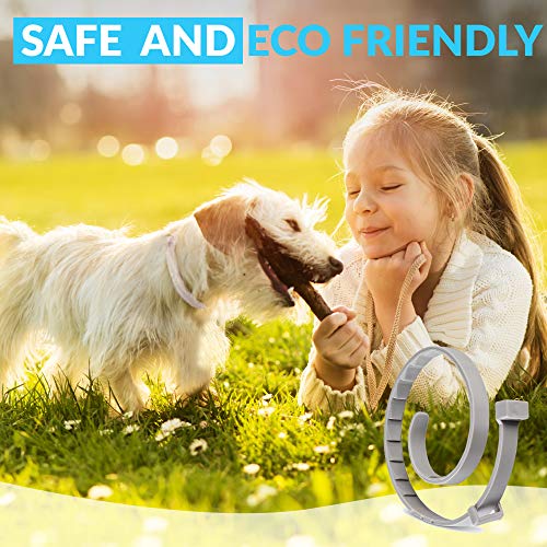 TANNESS Flea and Tick Collar for Small to Medium Cats and Dogs 15" Hypoallergenic and Waterproof Tick Prevention and Flea Control Dog Collar for 8 Months of Protection - Image 7