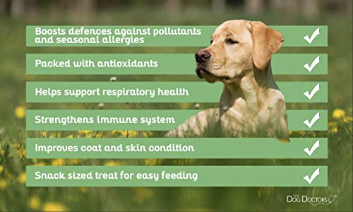 The Dog Doctors Allergy Aid Bitesized Soft Chews - Helps Relieve Itchy Irritated Skin & Seasonal Allergies - Specially Designed With Powerful Antioxidants To Support A Healthy Immune System. - Image 5