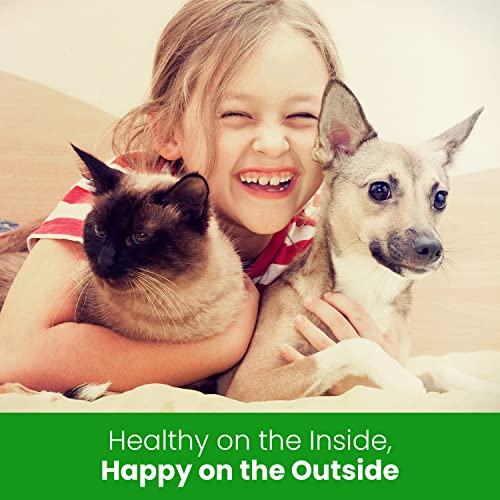 The Healthy Dog Co - Natural Itchy Dog Skin Relief - Dog Itchy Skin Relief - Dog Wound Spray - Calming Itchy Dog Spray - Soothes Itchy Skin, Dry Skin, Scratching, Biting - Cat Itch Relief - 250ml - Image 6