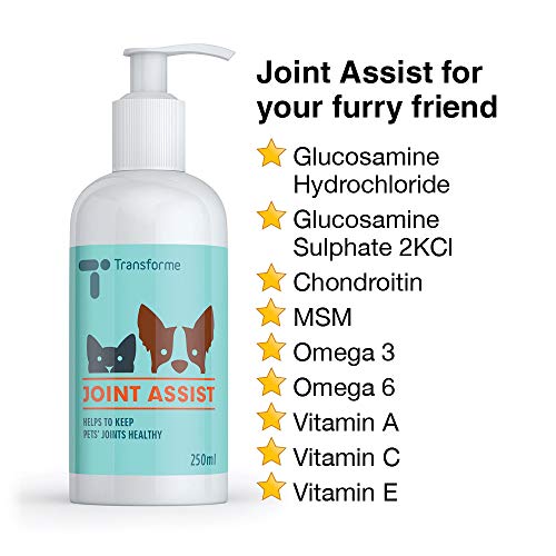 Transforme Joint Care Supplement for Dogs and Cats, Joint Assist High Strength Glucosamine, Chondroitin, MSM, Cod Liver Oil Plus Vitamins A, C & E, 250ml - Image 4
