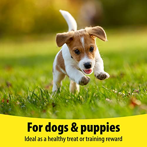 Vetzyme, Garlic Tablets for Dogs, Helps Maintain a Healthy Heart, Savoury Treat with B Complex Vitamins (240 Tablets) - Image 5