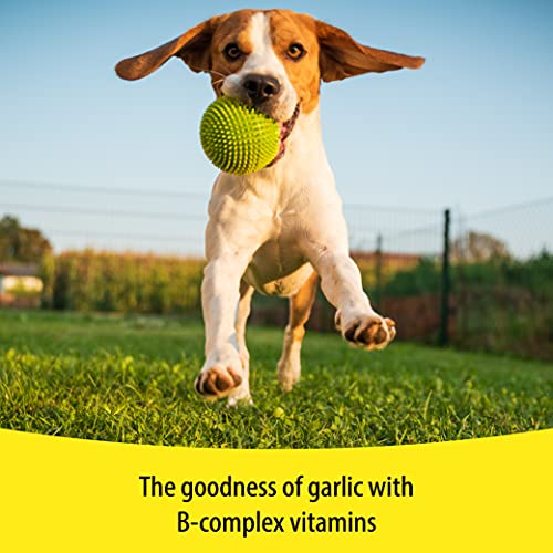 Vetzyme, Garlic Tablets for Dogs, Helps Maintain a Healthy Heart, Savoury Treat with B Complex Vitamins (240 Tablets) - Image 7