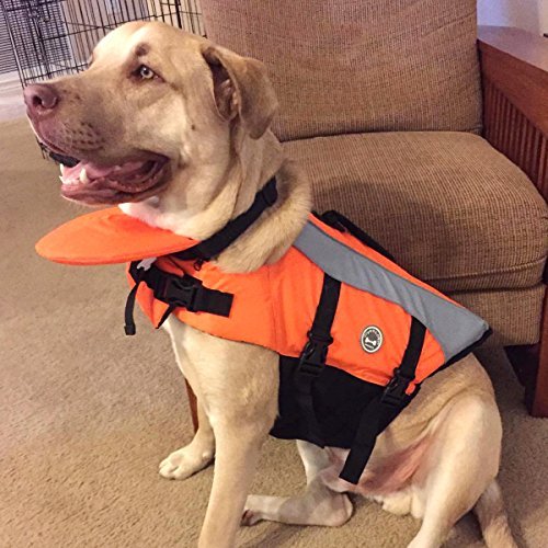 VIVAGLORY Dog Life Jacket with Removable Front Float, Life Vest with Reflective Trims & Extra Padding for Swimming & Boating, Small, Bright Orange - Image 8