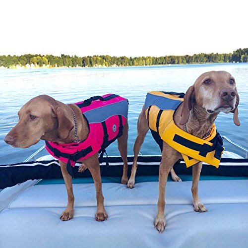 VIVAGLORY Dog Life Jacket with Removable Front Float, Life Vest with Reflective Trims & Extra Padding for Swimming & Boating, Small, Bright Orange - Image 9