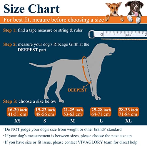 VIVAGLORY Lightweight Dog Life Jacket, Pet Life Preserver Life Vest Skin-Friendly Neoprene for Small Dogs with D-ring and Quick Release Buckle, Red - Image 3