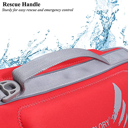 VIVAGLORY Lightweight Dog Life Jacket, Pet Life Preserver Life Vest Skin-Friendly Neoprene for Small Dogs with D-ring and Quick Release Buckle, Red - Image 6