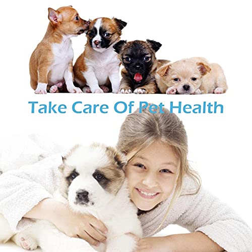 WaggPaws Dog Joint Supplement With Glucosamine For Stiff And Older Dogs - With Green Lipped Mussel, MSM, Hyaluronic Acid and Curcumin - Pet Supplies Dogs - 120 Chicken Flavoured Chewable Tablets - Image 4