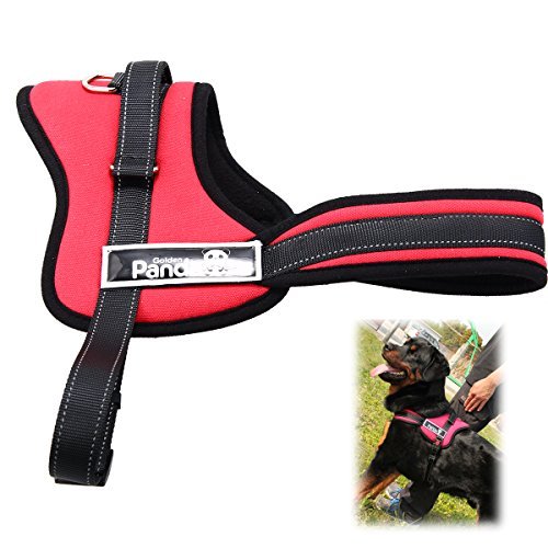XCSOURCE Adjustable Soft Padded Pet Control Harness Safety Strap Nylon Vest For Big Dog Cat - Image 3