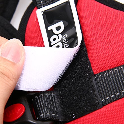 XCSOURCE Adjustable Soft Padded Pet Control Harness Safety Strap Nylon Vest For Big Dog Cat - Image 8