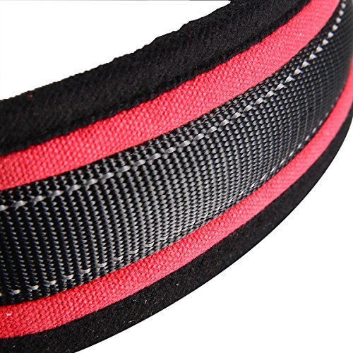 XCSOURCE Adjustable Soft Padded Pet Control Harness Safety Strap Nylon Vest For Big Dog Cat - Image 9