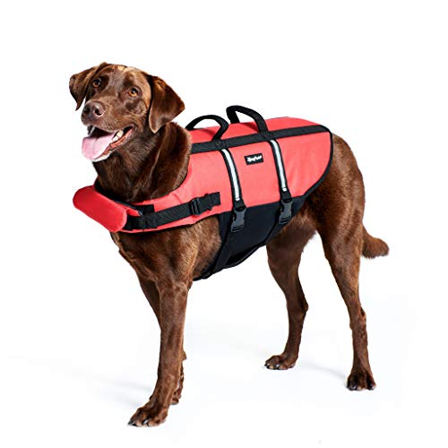 ZippyPaws - Adventure Life Jacket for Dogs - (M) - Red - 1 Life Jacket - Image 4