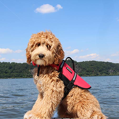 ZippyPaws - Adventure Life Jacket for Dogs - (M) - Red - 1 Life Jacket - Image 7