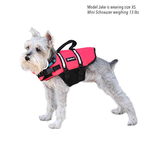 ZippyPaws - Adventure Life Jacket for Dogs - (M) - Red - 1 Life Jacket - Image 8