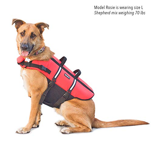 ZippyPaws - Adventure Life Jacket for Dogs - (M) - Red - 1 Life Jacket - Image 9
