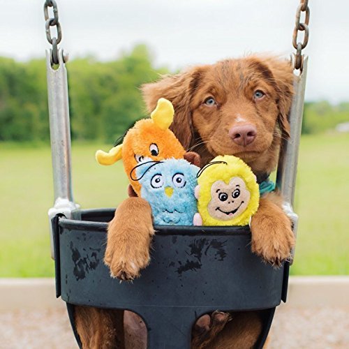 ZippyPaws - Squeakie Buddie No Stuffing Plush Dog Toy - Image 4